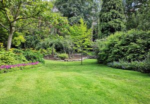 Optimiser l'expérience du jardin à Riquewihr